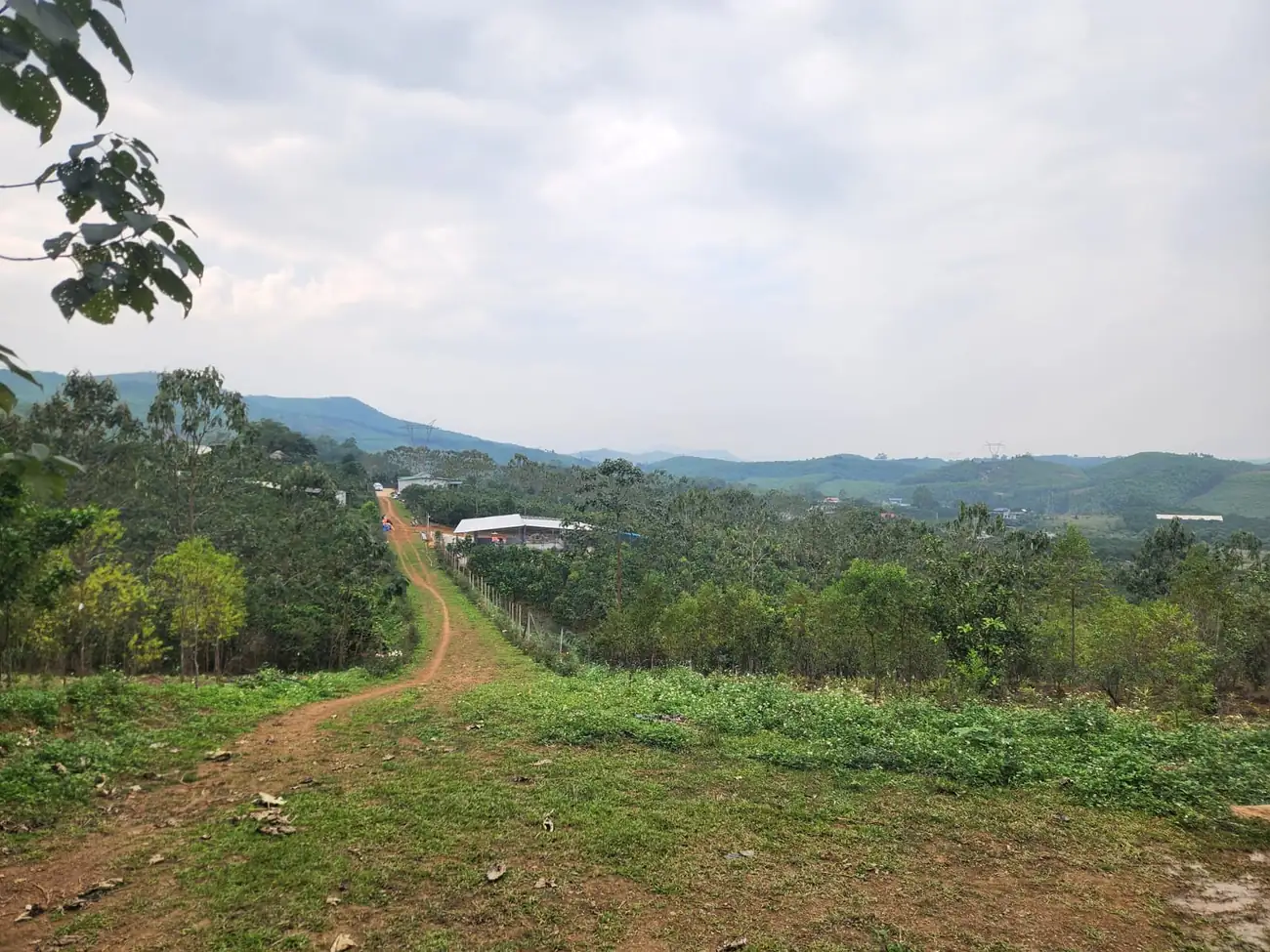 Toàn cảnh trang trại Navahi nhìn từ trên cao, đường đất dẫn vào khu trại giữa vùng đồi núi